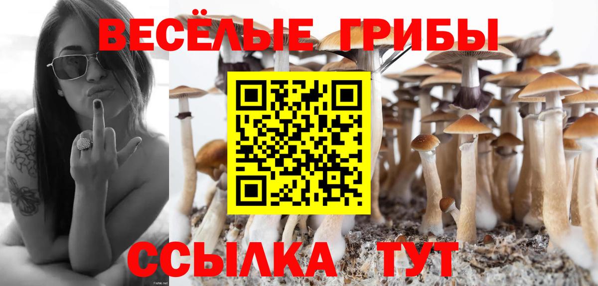 Галлюциногенные грибы ЛСД  Галлюциногенные грибы Psilocybe  Вход с VPN  Саров 
