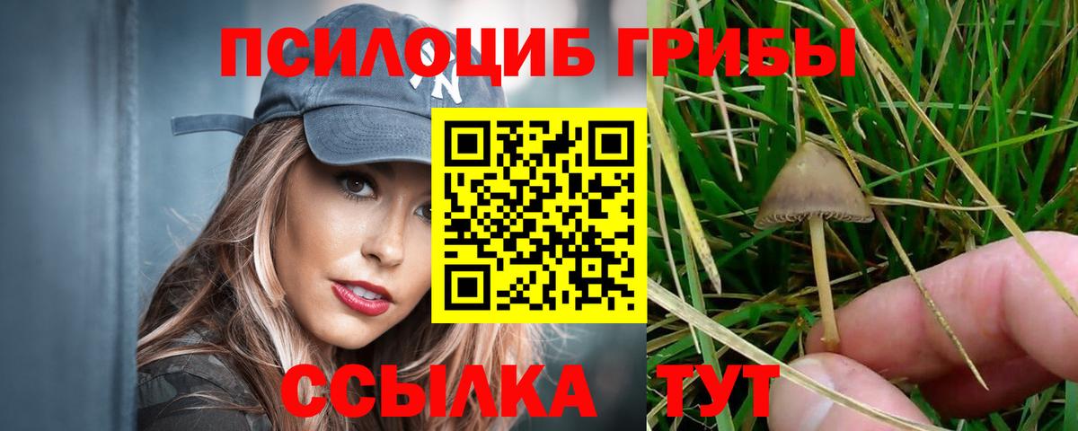 Псилоцибиновые грибы GOLDEN TEACHER Саров